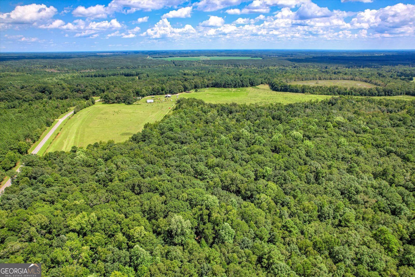 3280 Eden Church Road Louisville, GA 30434 - Photo 5 of 19 a view of a lush green forest with lots of green space and mountain view