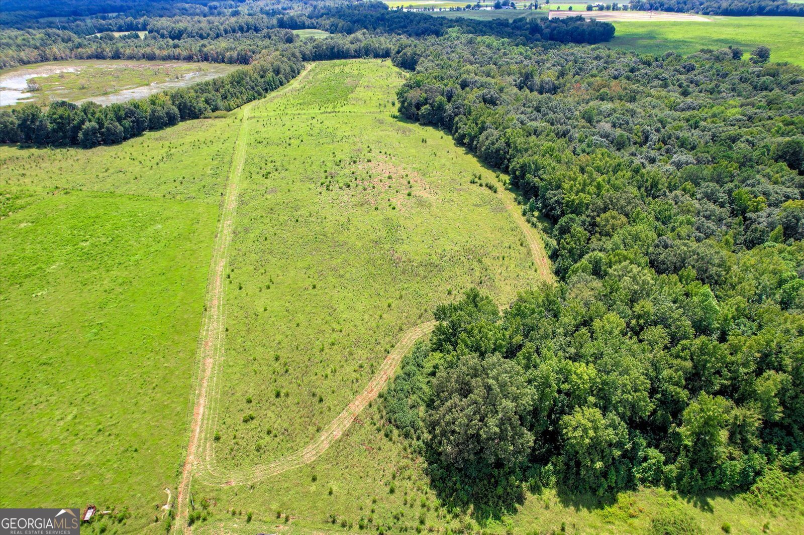 3280 Eden Church Road Louisville, GA 30434 - Photo 7 of 19 a view of a garden with an outdoor space