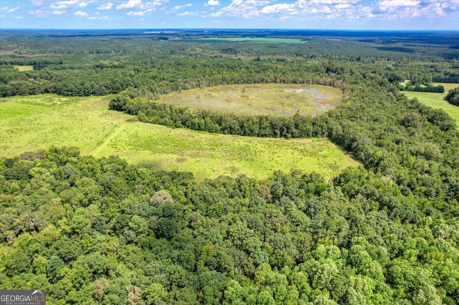 3280 Eden Church Road Louisville, GA 30434 - Photo 9 of 19 a view of an outdoor space and a yard