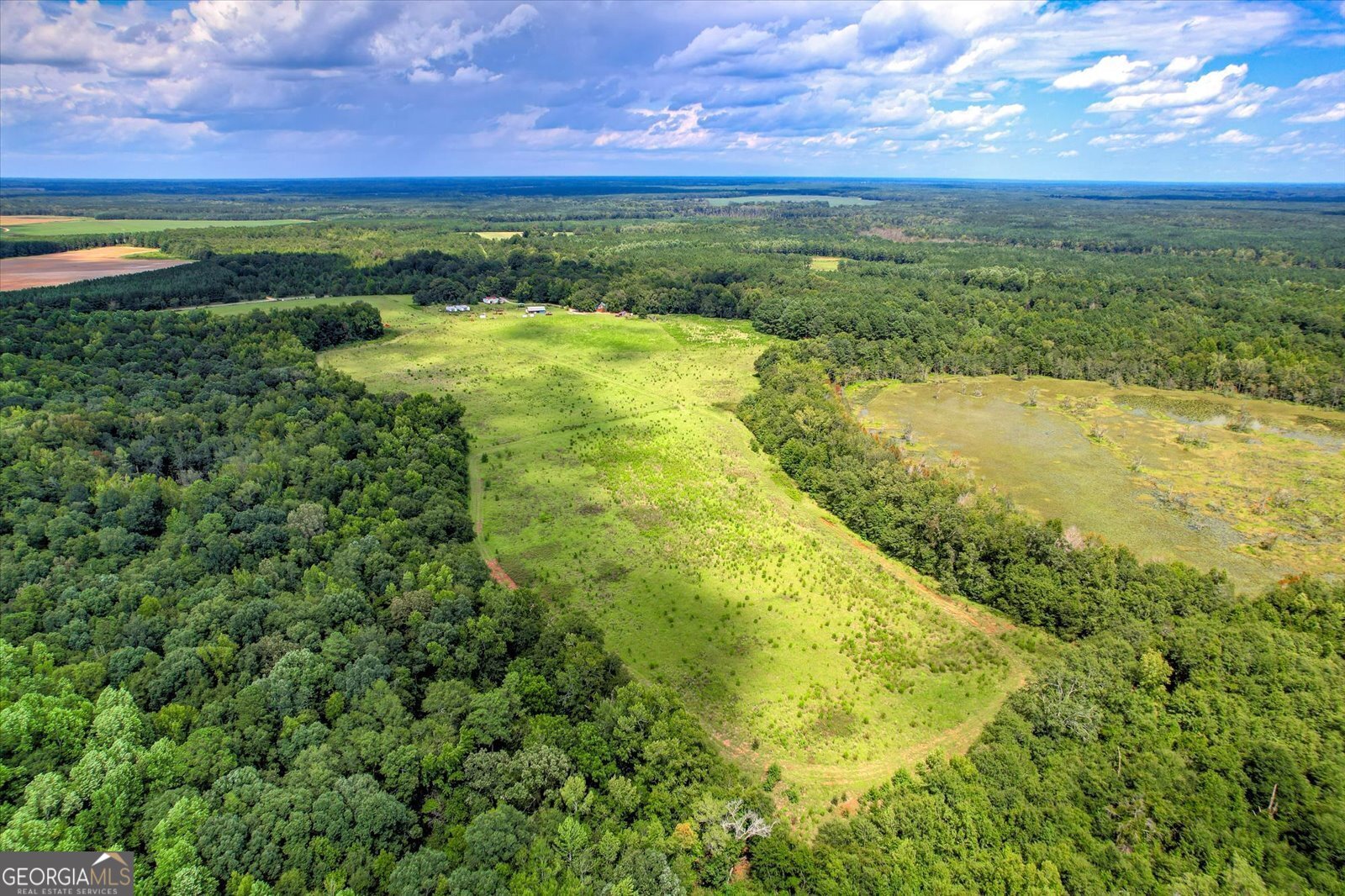 3280 Eden Church Road Louisville, GA 30434 - Photo 10 of 19 a view of yard with ocean view