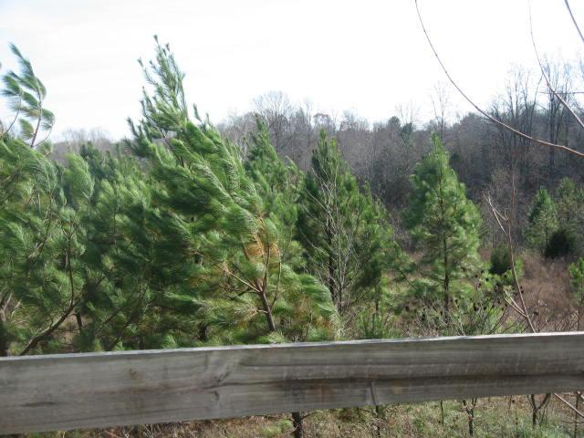 7120 Wheat Road, Unit 7120 Fairview, TN 37062 - Photo 3 of 14 View from your Back patio terrace, the rolling Hills of Tennessee