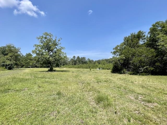 71290 Ralph Gantt Road Little River, AL 36550 - Photo 16 of 31
