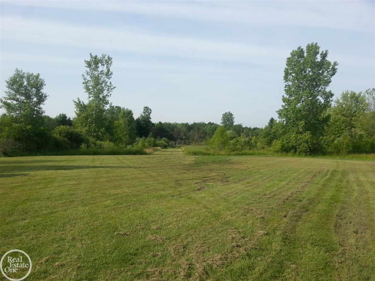 9505 Brandon Road Avoca, MI 48006 - Photo 28 of 45