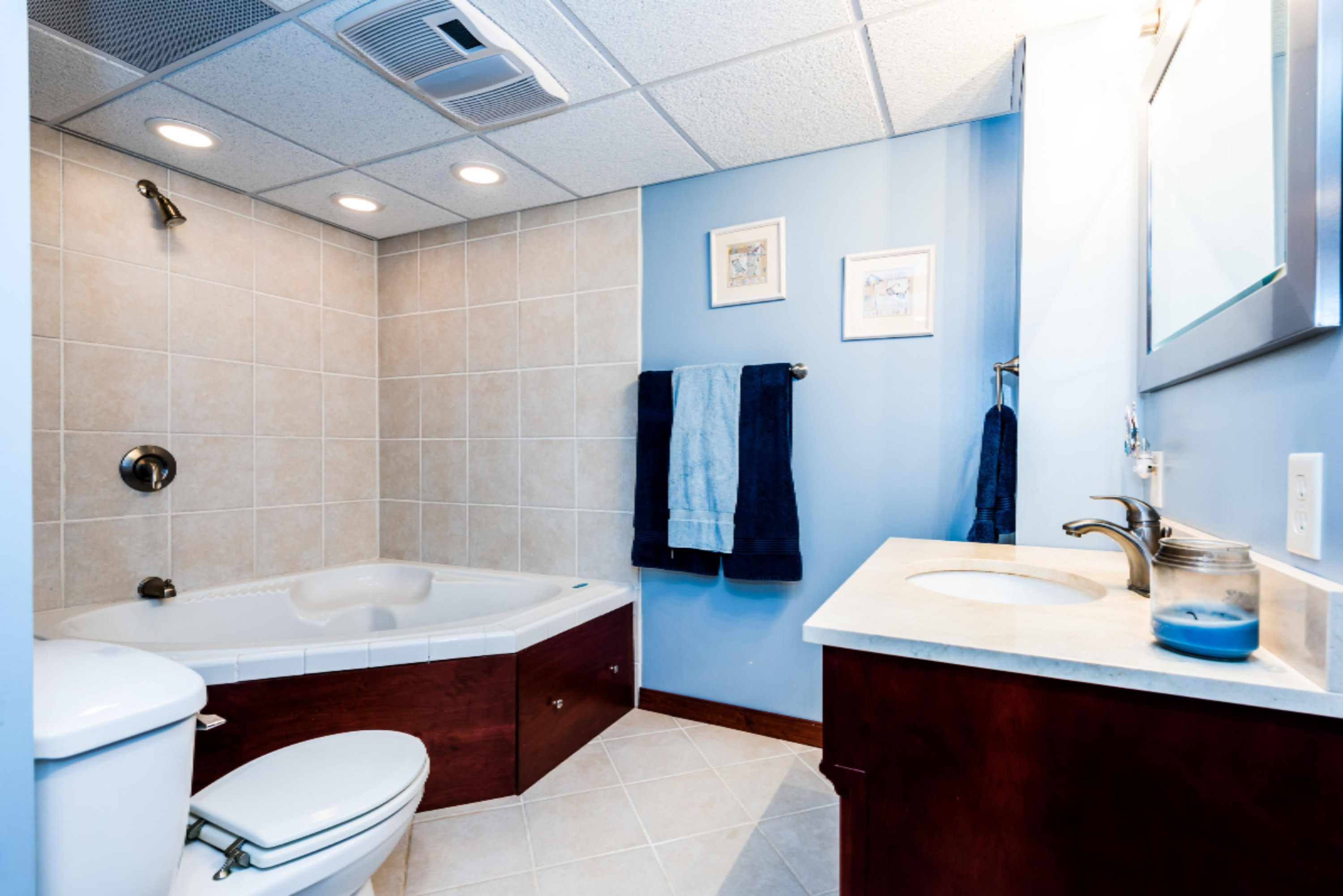 11230 Garr Road Berrien Springs, MI 49103 - Photo 26 of 35 Lower Level Bath