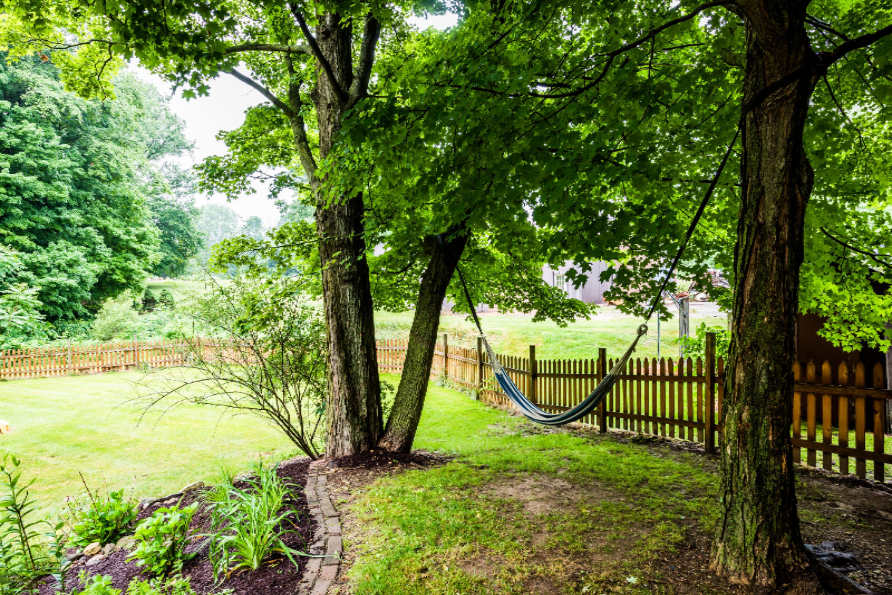 11230 Garr Road Berrien Springs, MI 49103 - Photo 33 of 35 Lanscape and Mature Trees