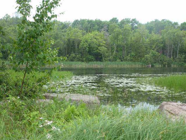 17 Rhinelander Wi 54501, Unit LOT 4 Rhinelander, WI 54501 - Photo 10 of 14 Gallery Image 10