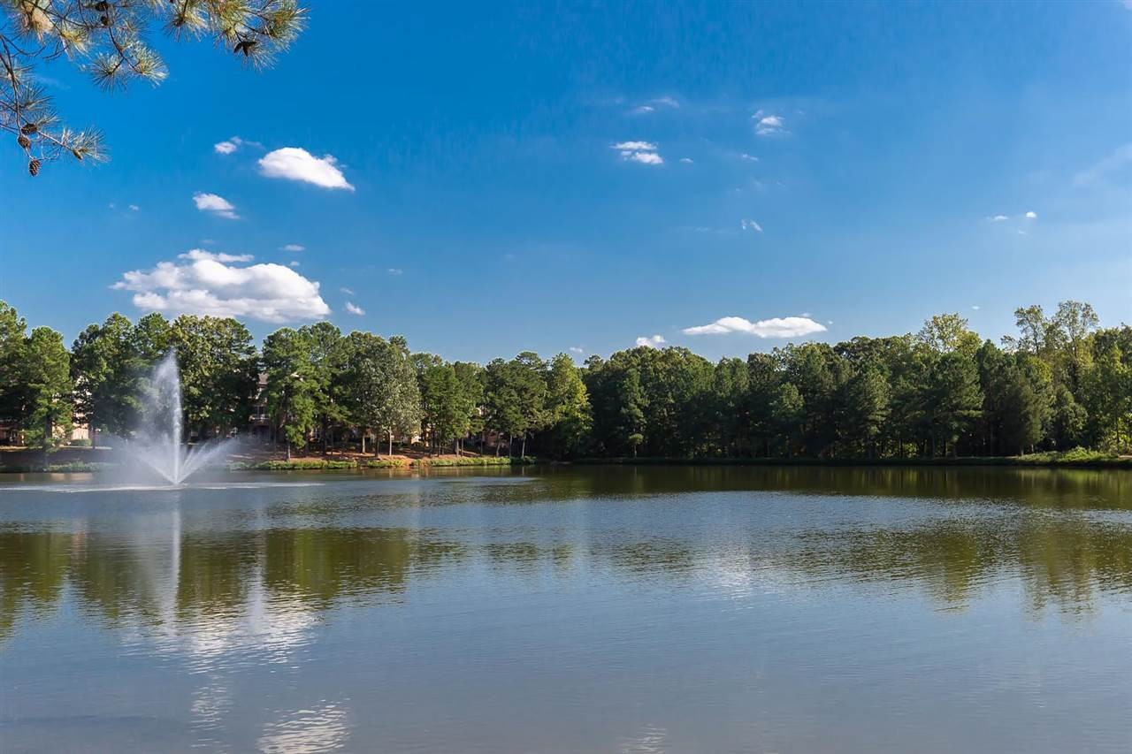 8120 Lloyd Allyns Way Raleigh, NC 27615 - Photo 8 of 30 Photo 8