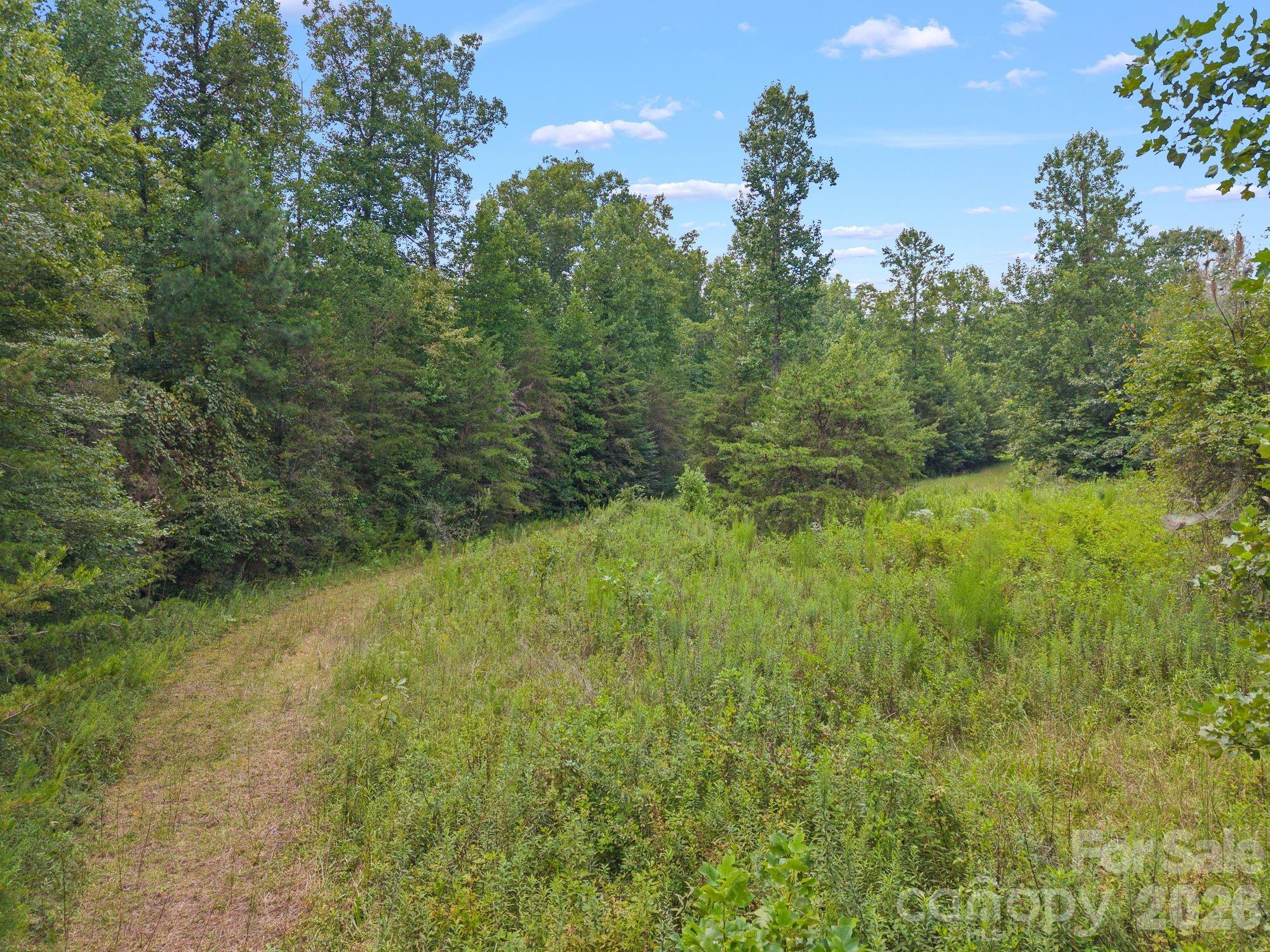 0 Chilly Bowl Road Rutherfordton, NC 28139 - Photo 10 of 18 Gallery Image 10