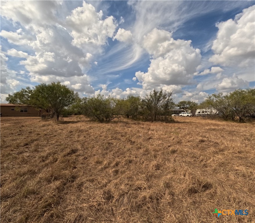 141 Muehl Road Seguin, TX 78155 - Photo 11 of 12 a view of outdoor space with deck and trees
