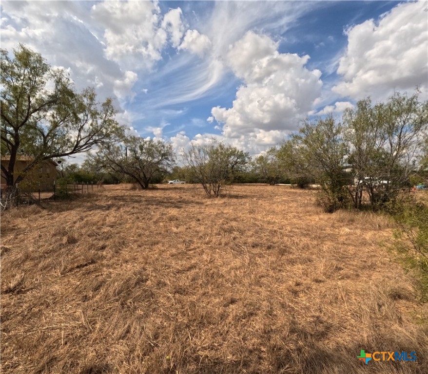 141 Muehl Road Seguin, TX 78155 - Photo 12 of 12