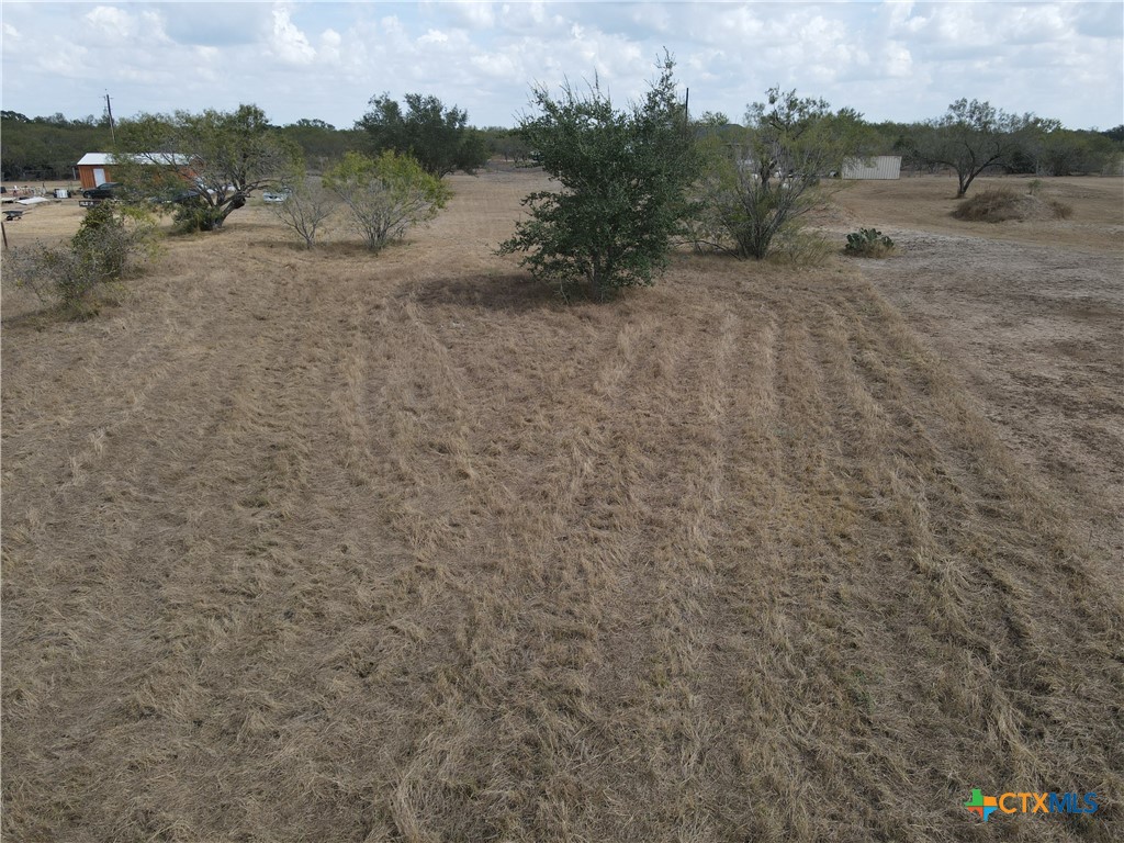 141 Muehl Road Seguin, TX 78155 - Photo 4 of 12 a view of a dry yard with trees in the background