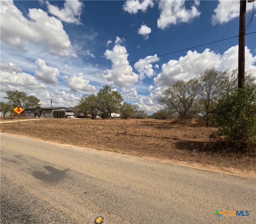 141 Muehl Road Seguin, TX 78155 - Photo 6 of 12 a view of a yard with large trees