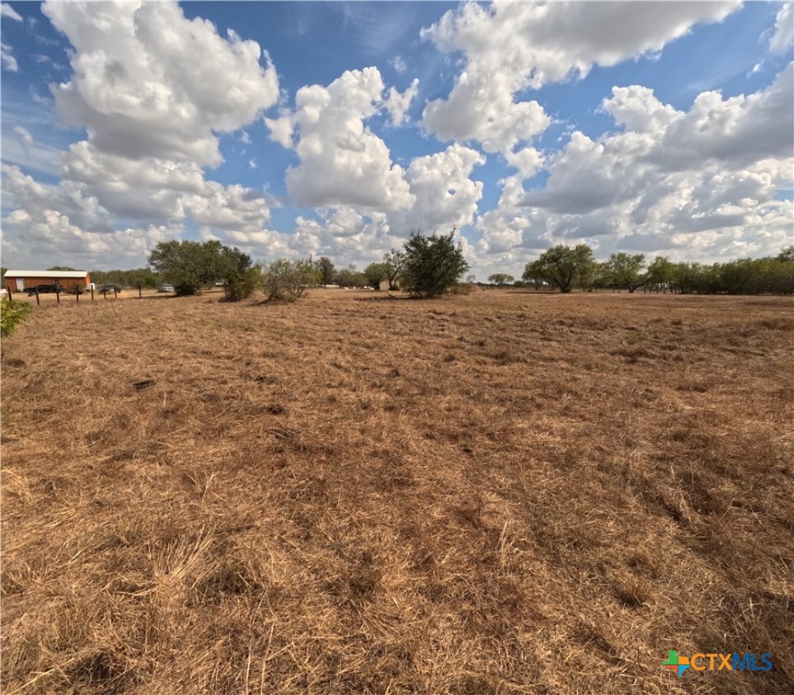 141 Muehl Road Seguin, TX 78155 - Photo 9 of 12 a view of lot of trees