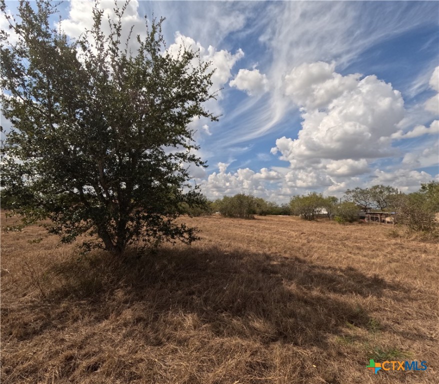 141 Muehl Road Seguin, TX 78155 - Photo 10 of 12 a view of dirt field and trees