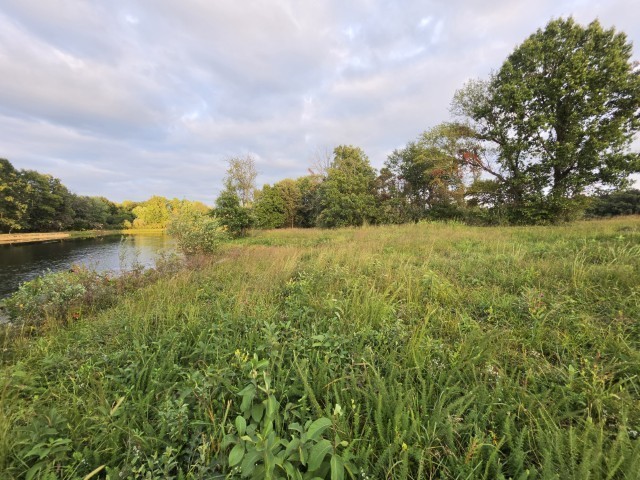0 East Knox Road Mount Vernon, IL 62864 - Photo 9 of 49 Gallery Image 9