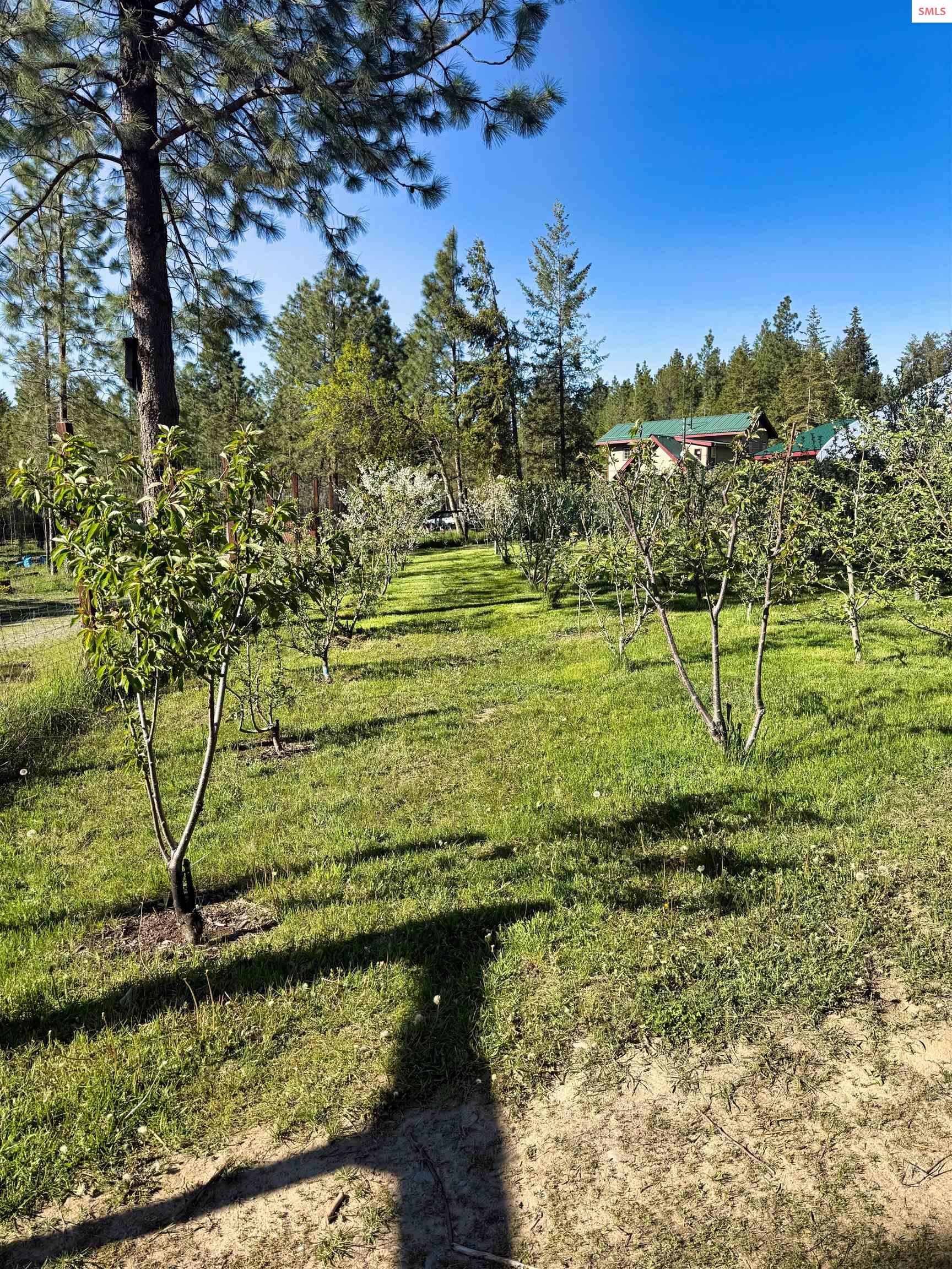 295 Glacier Road Bonners Ferry, ID 83805 - Photo 33 of 40 Gallery Image 33