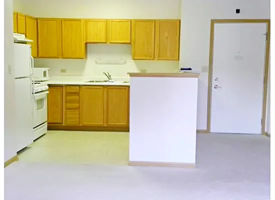 $116,900 | 801 North McLean Boulevard, Unit 136, Elgin, IL 60123