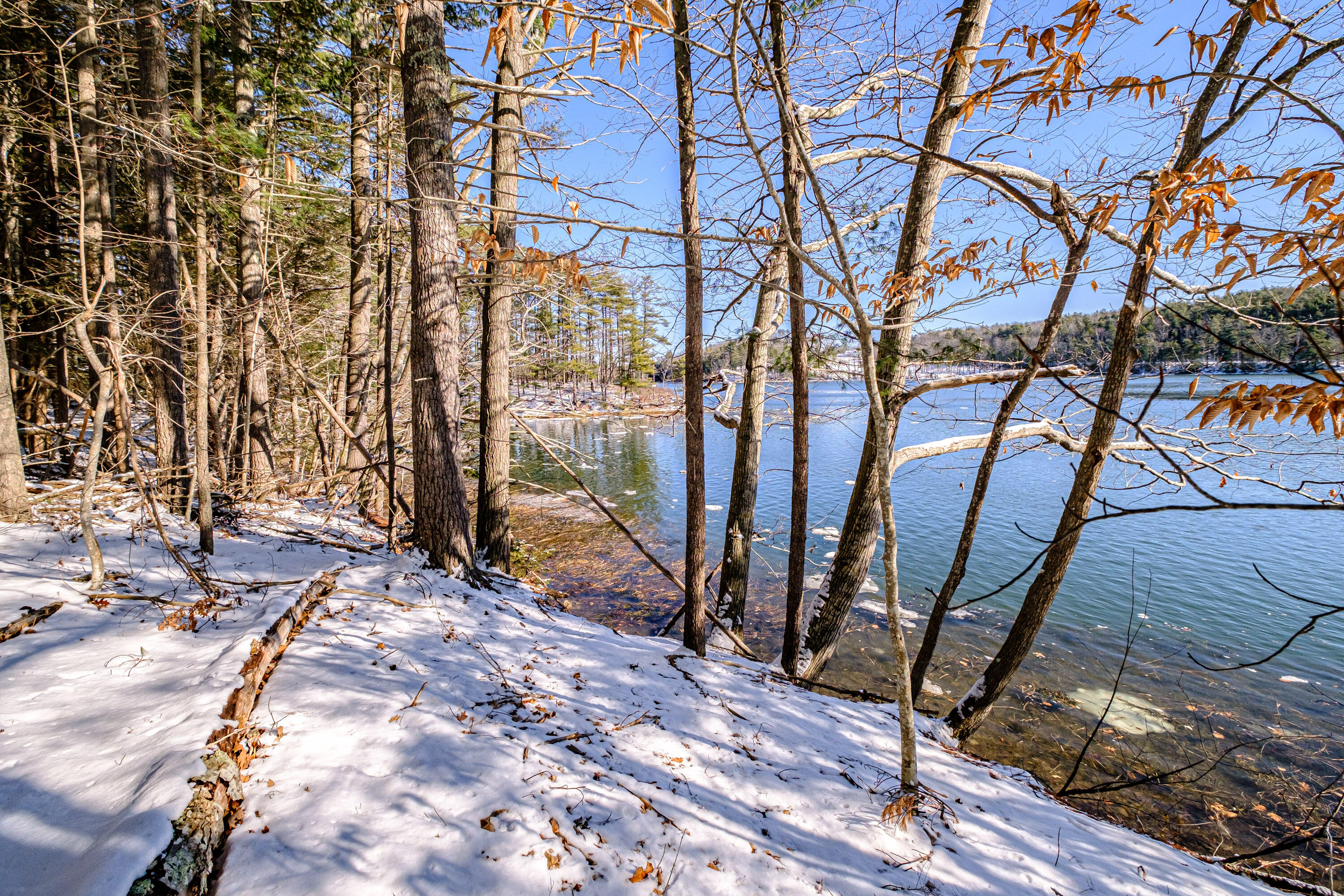 Tbd Brown Road Wiscasset, ME 04578 - Photo 21 of 24 20250130gp-62070