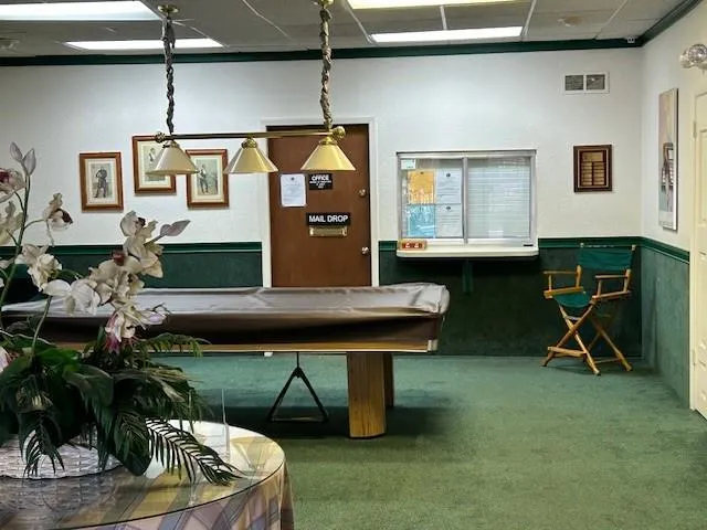 a living room with furniture a piano and a potted plant