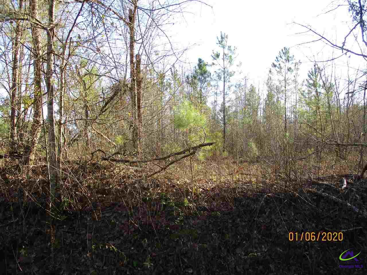 875 East Flournoy Road Hawkinsville, GA 31036 - Photo 6 of 9