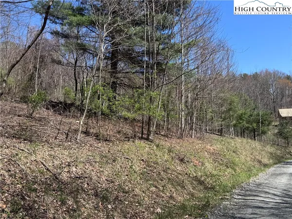 a view of backyard with green space