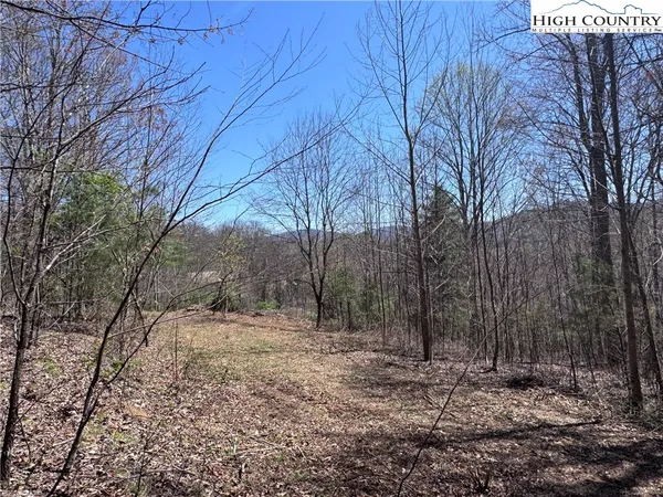 a backyard of a house with trees