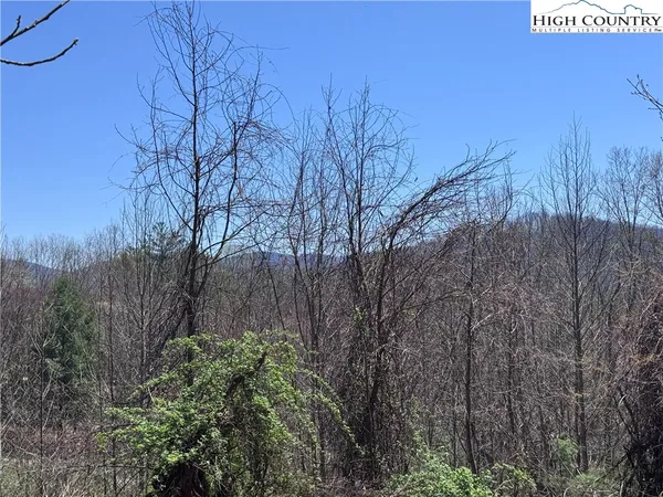 a view of a dry yard with wooden fence
