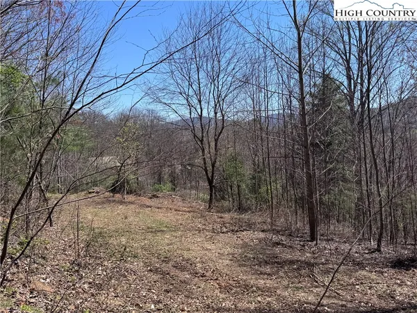 a view of a yard with trees