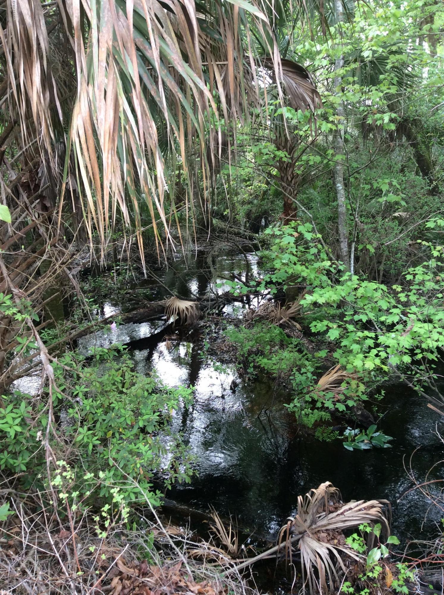 120 Creek Crossing Road Port Orange, FL 32128 - Photo 2 of 39 image