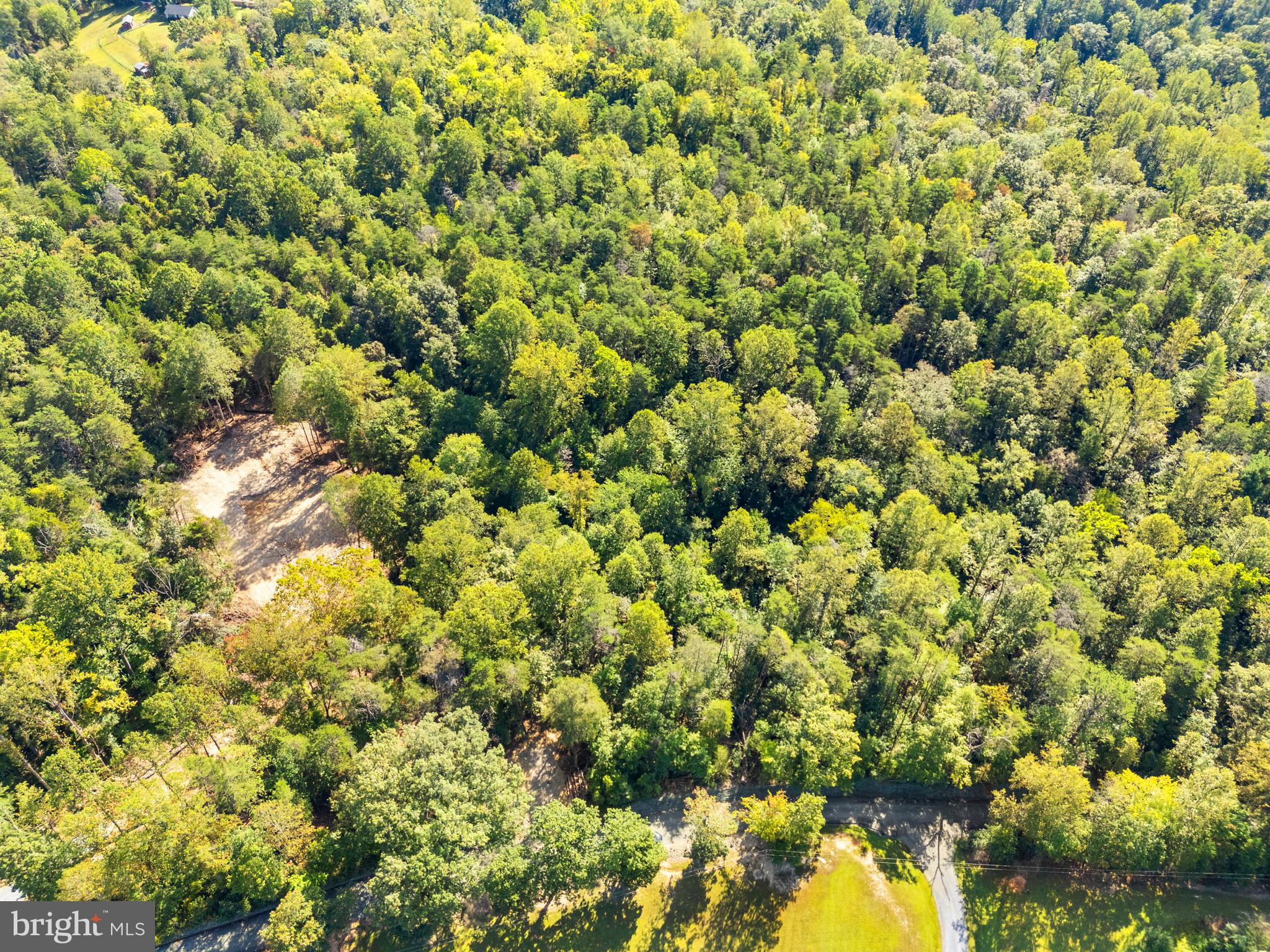 Vacant Land Cabin Branch Road Marshall, VA 20115 - Photo 12 of 28