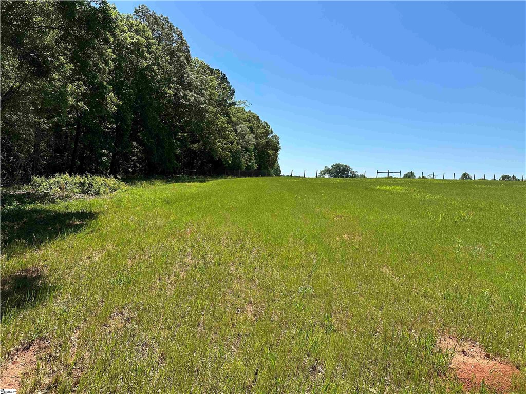 106 Jolly Wingo Road Pendleton, SC 29670 - Photo 2 of 5