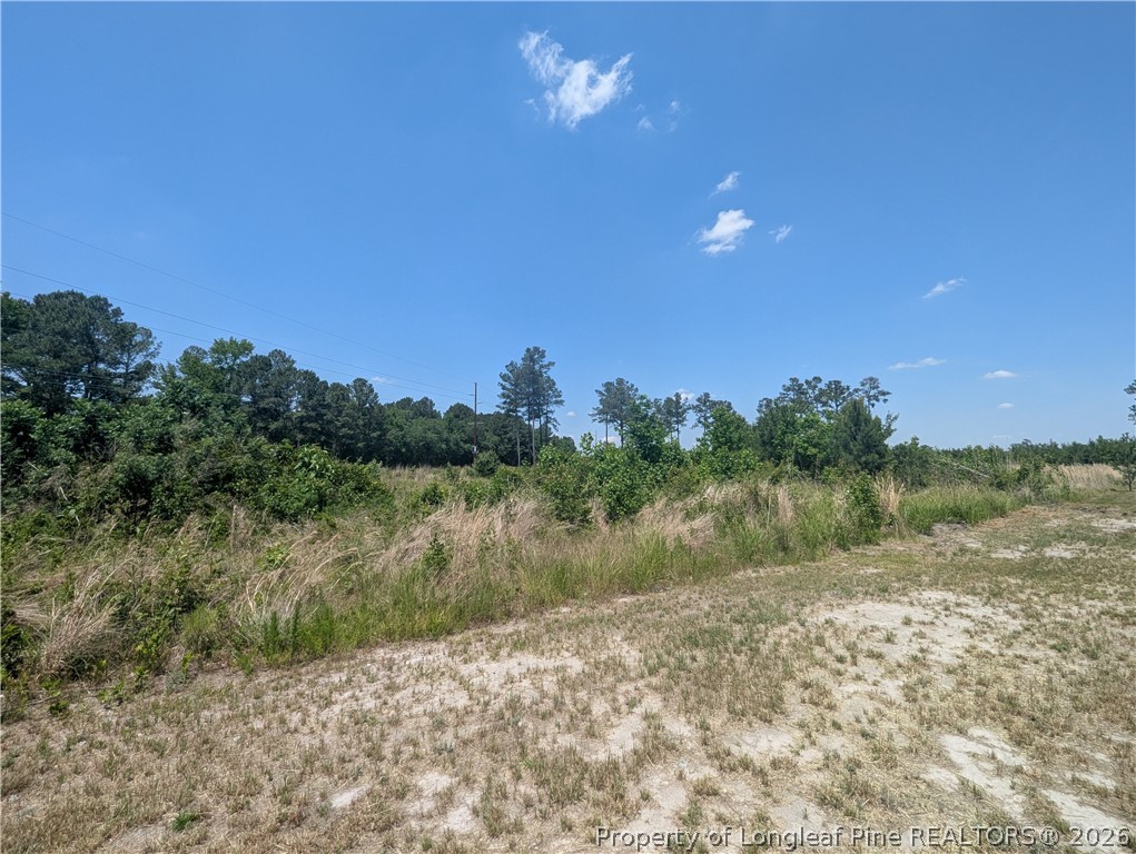 Tew Road Autryville, NC 28318 - Photo 4 of 9 a view of a lake with a yard