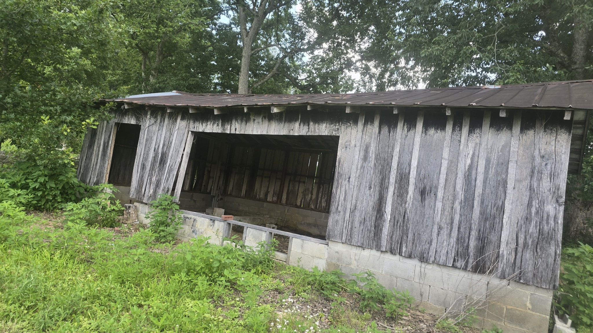 34 Short Road Petersburg, TN 37144 - Photo 8 of 24 Gallery Image 8