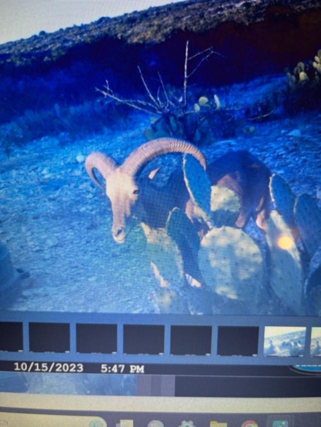 13955 Ranch Road 2523 Del Rio, TX 78840 - Photo 73 of 77
