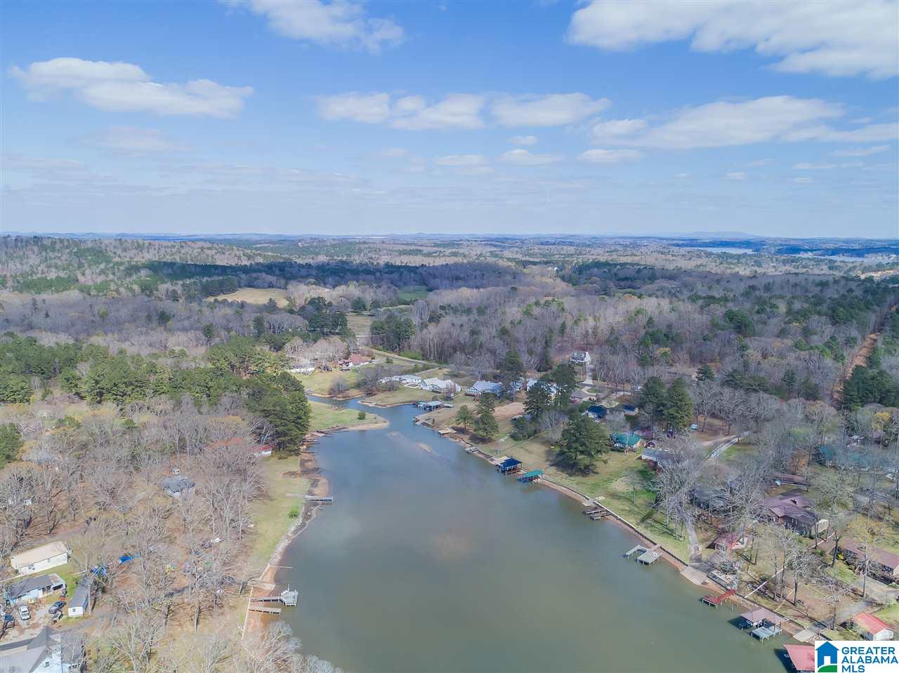 126 Funderburg Bend Road Pell City, AL 35128 - Photo 40 of 48