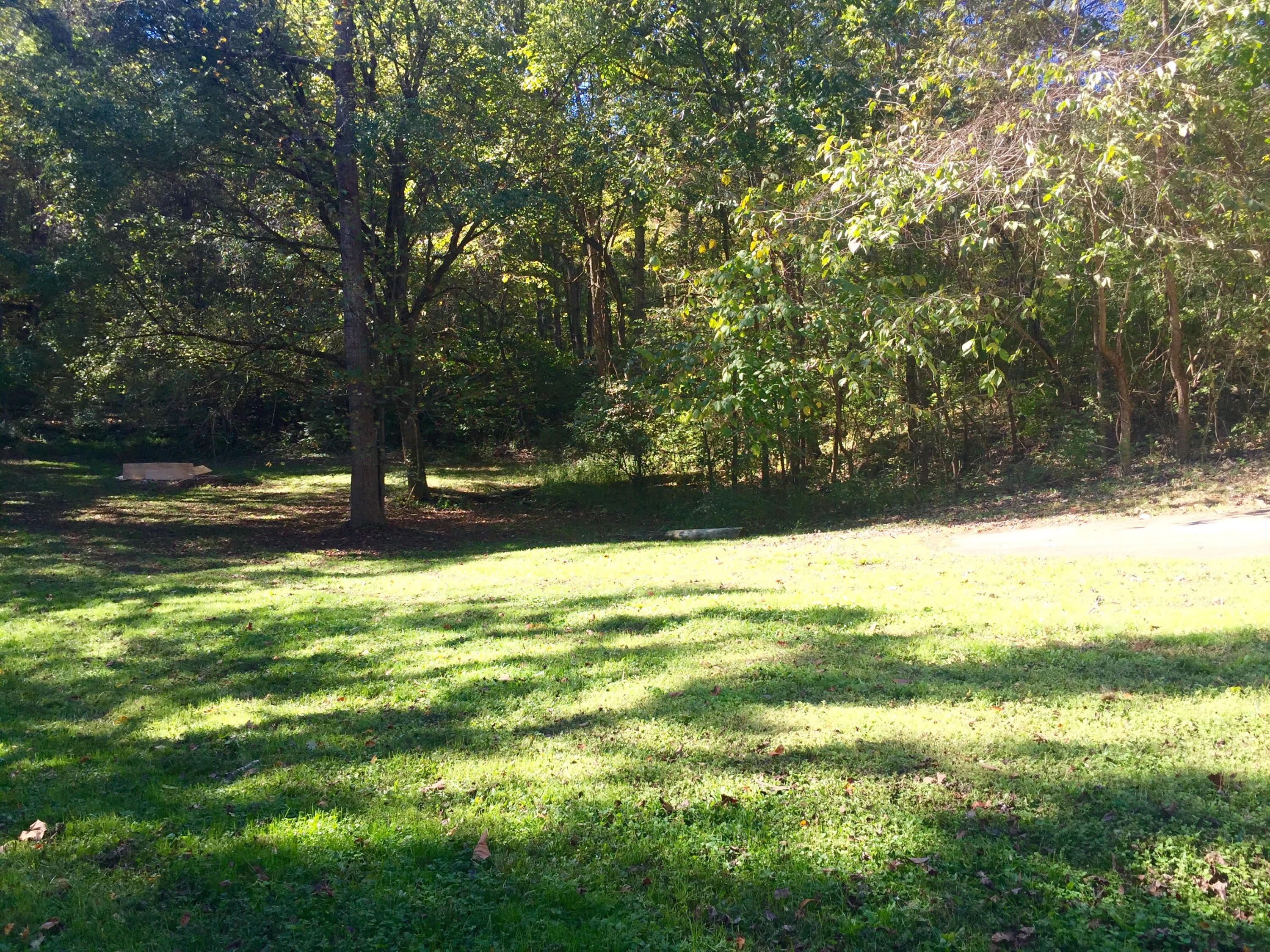 723 Corum Road Knoxville, TN 37924 - Photo 5 of 18 Beautiful wooded 1.09 acre lot