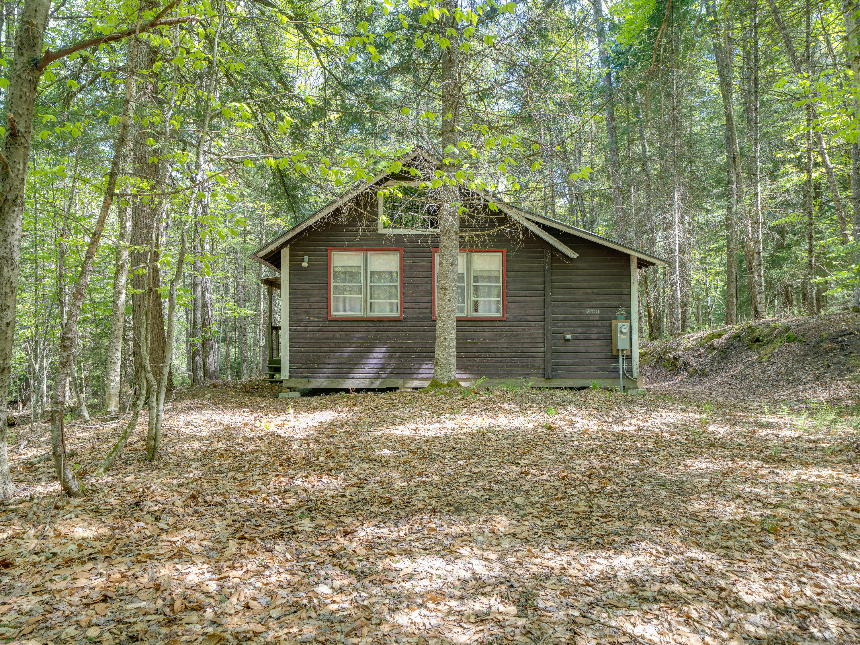 2401 North Point Road Long Lake, NY 12847 - Photo 32 of 39 4EC327DF-746B-4621-9734-0BE9C9FA0CD8