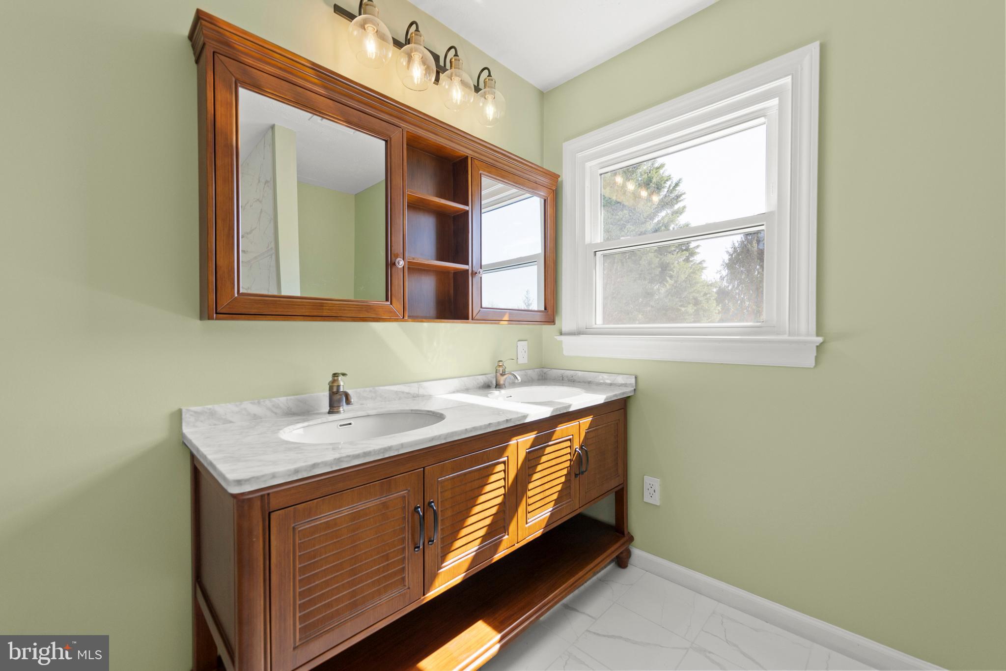 405 Spring Hollow Road Woodstock, VA 22664 - Photo 60 of 98 Hall bath dbl vanity