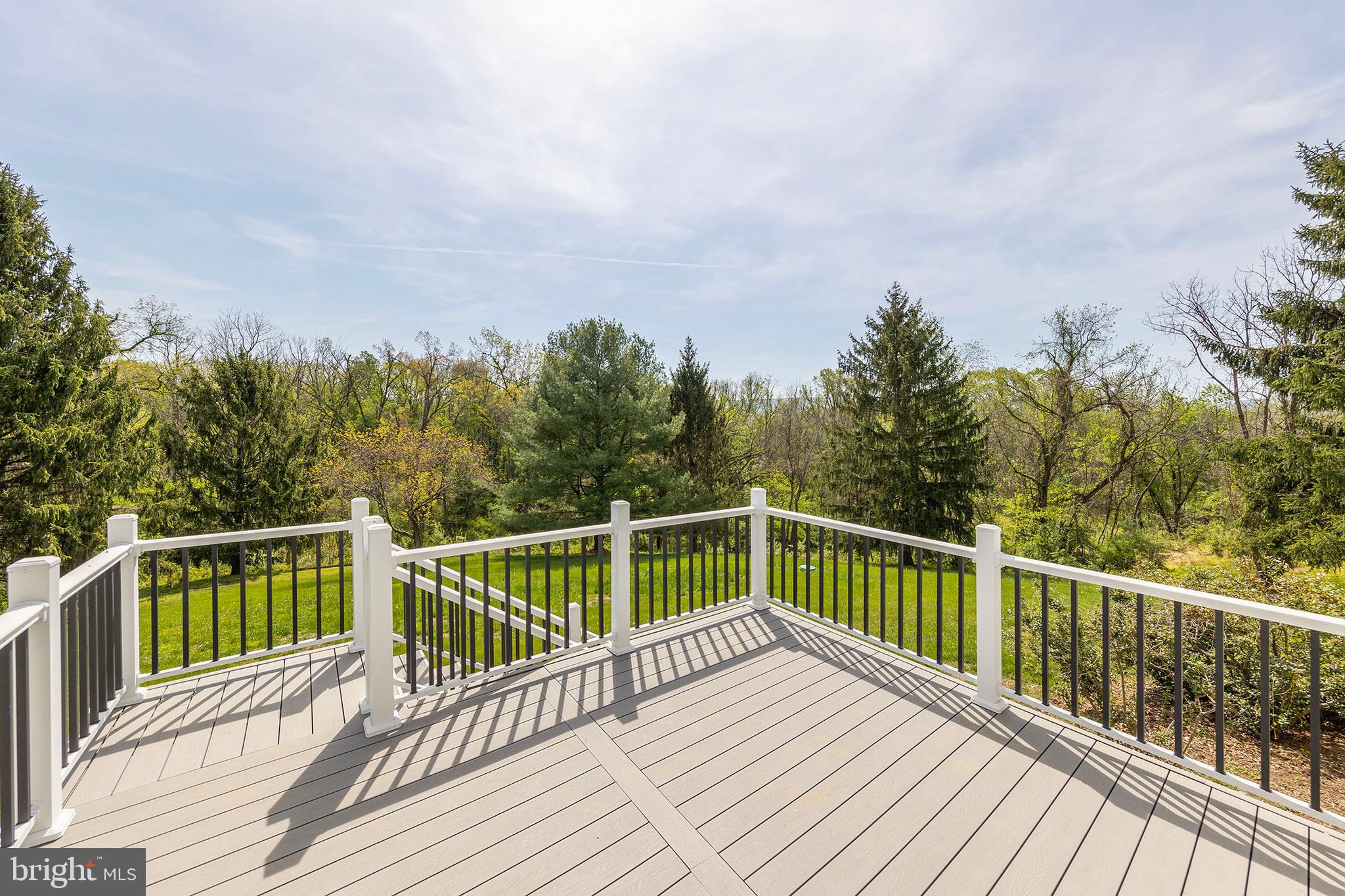 405 Spring Hollow Road Woodstock, VA 22664 - Photo 79 of 98 View off deck