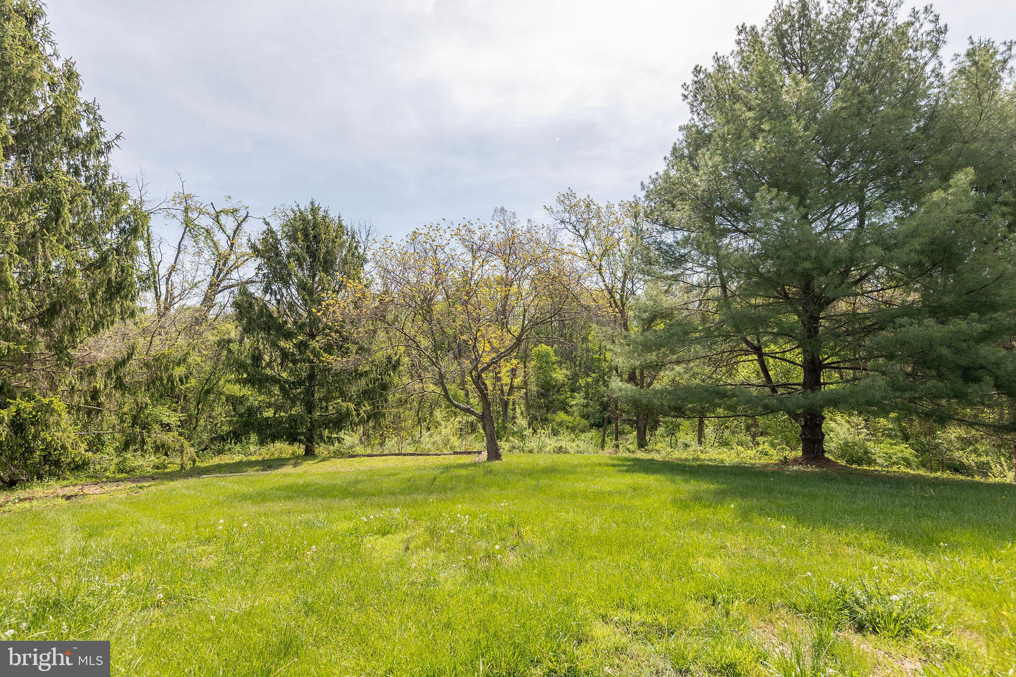 405 Spring Hollow Road Woodstock, VA 22664 - Photo 87 of 98 Back yard