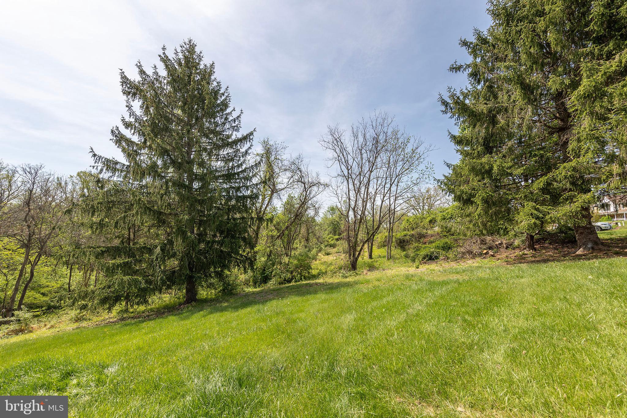 405 Spring Hollow Road Woodstock, VA 22664 - Photo 88 of 98