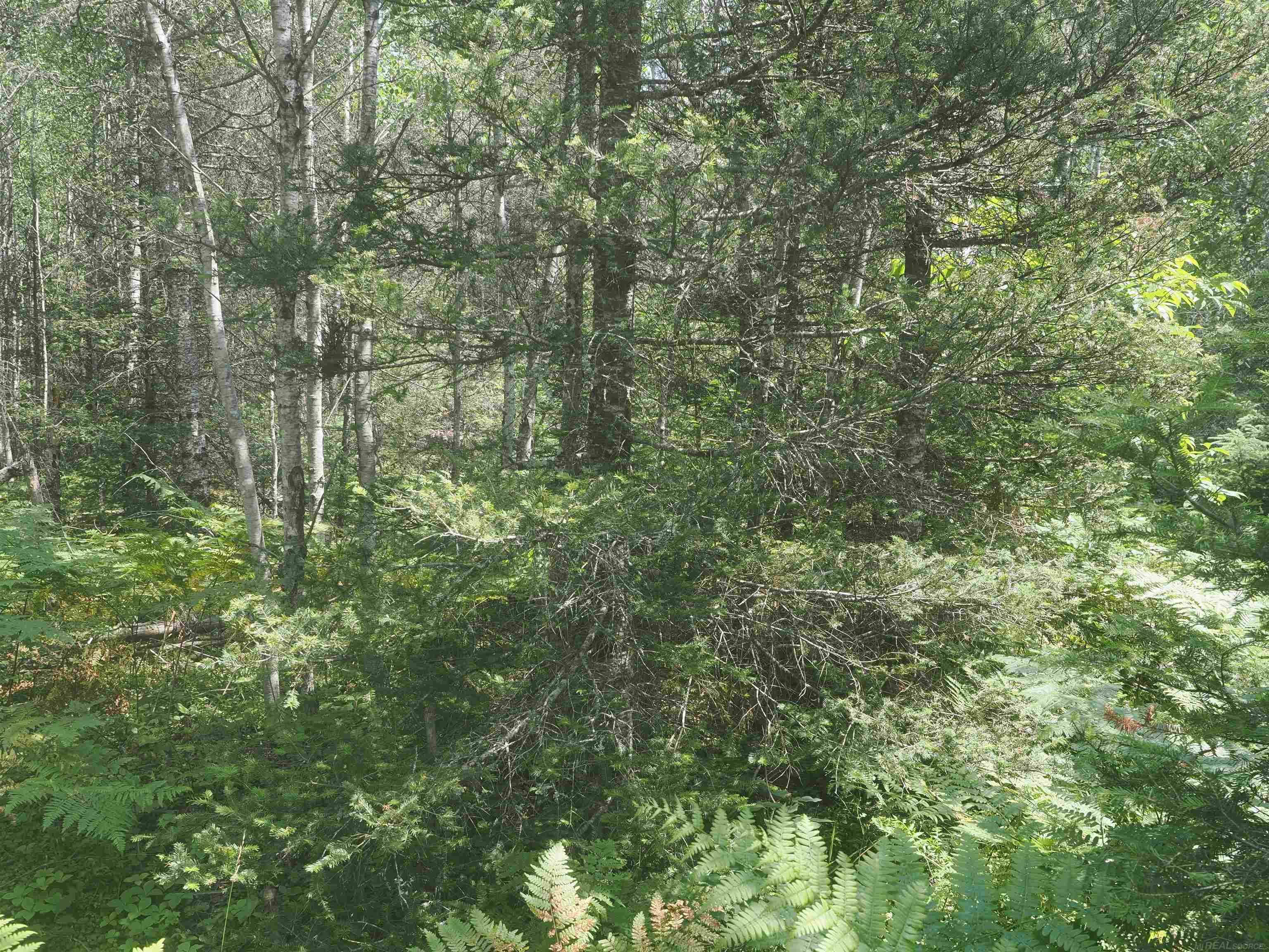 0 County Road Ishpeming, MI 49849 - Photo 54 of 85