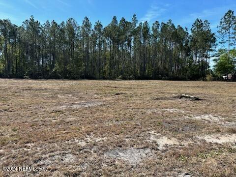 Lot 64 County Road 108 Road, Unit COUNTY Hilliard, FL 32046 - Photo 3 of 4 2748051400279806764