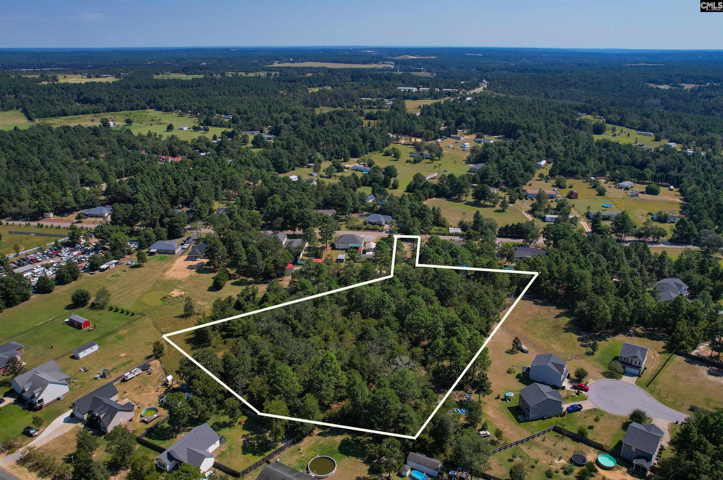 357 Bethlehem Circle Leesville, SC 29070 - Photo 5 of 5