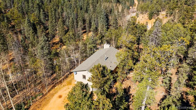 a view of a city with lush green forest