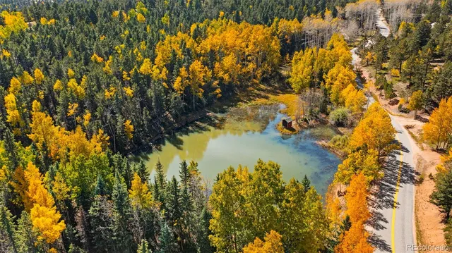 a view of a white house with a yard and large tree