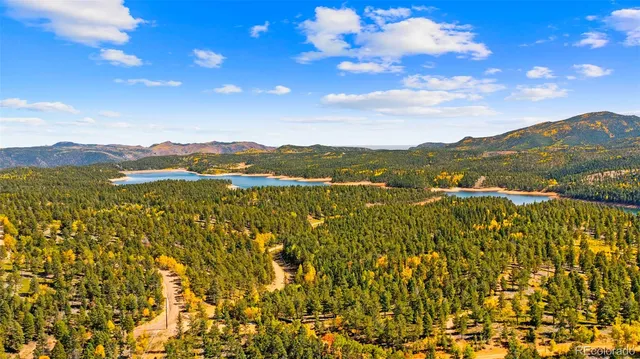 $699,000 | 2558 Cr 28 Woodland Park, Woodland Park, CO 80863