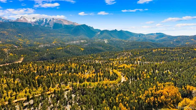 $699,000 | 2558 Cr 28 Woodland Park, Woodland Park, CO 80863