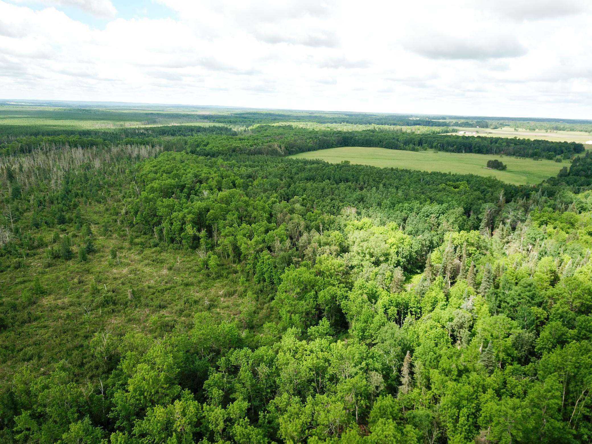 Tbd1 Mud Lake Road Bagley, MN 56621 - Photo 21 of 31