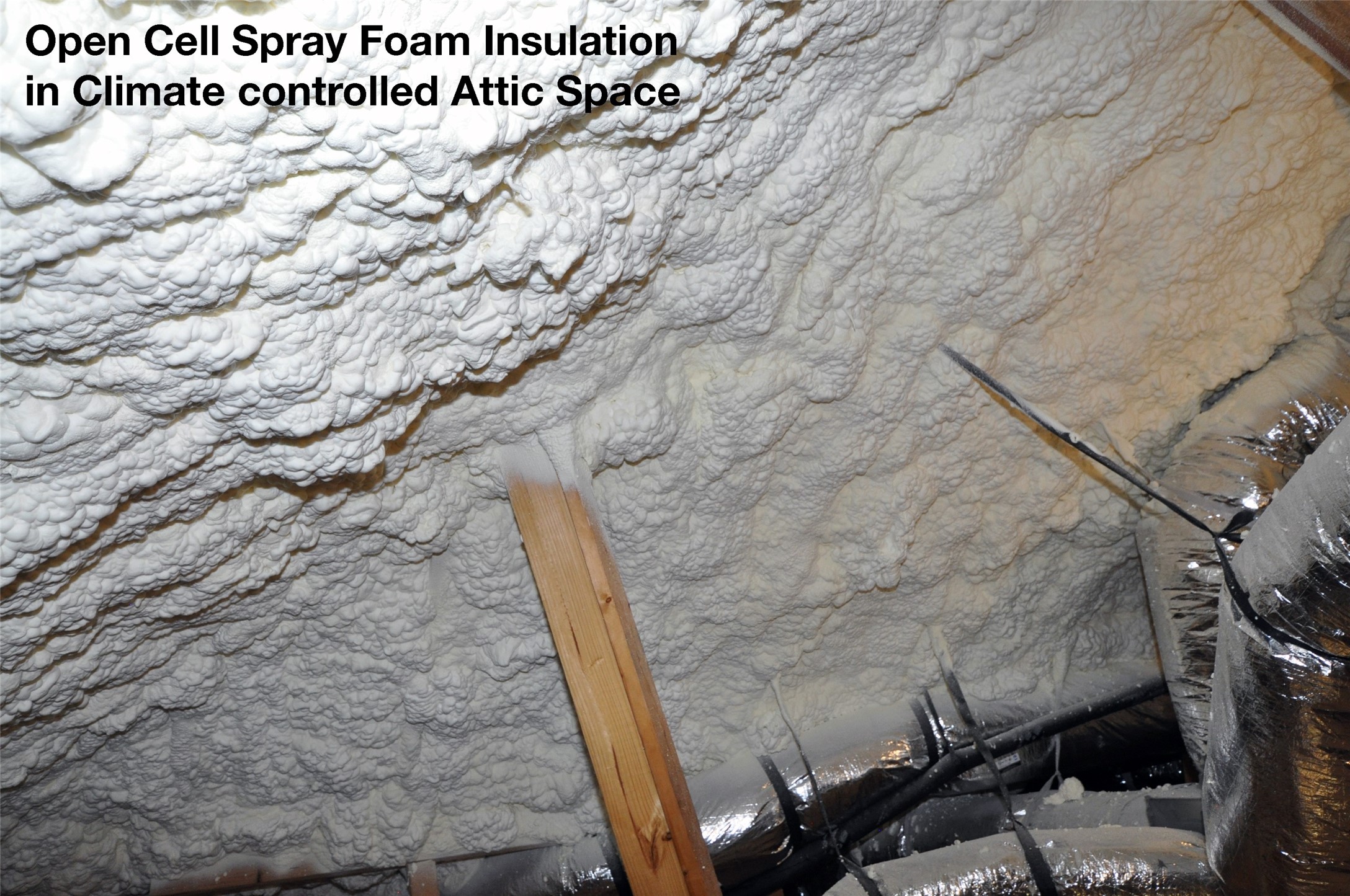 3701 Pedregal Road League City, TX 77573 - Photo 34 of 48